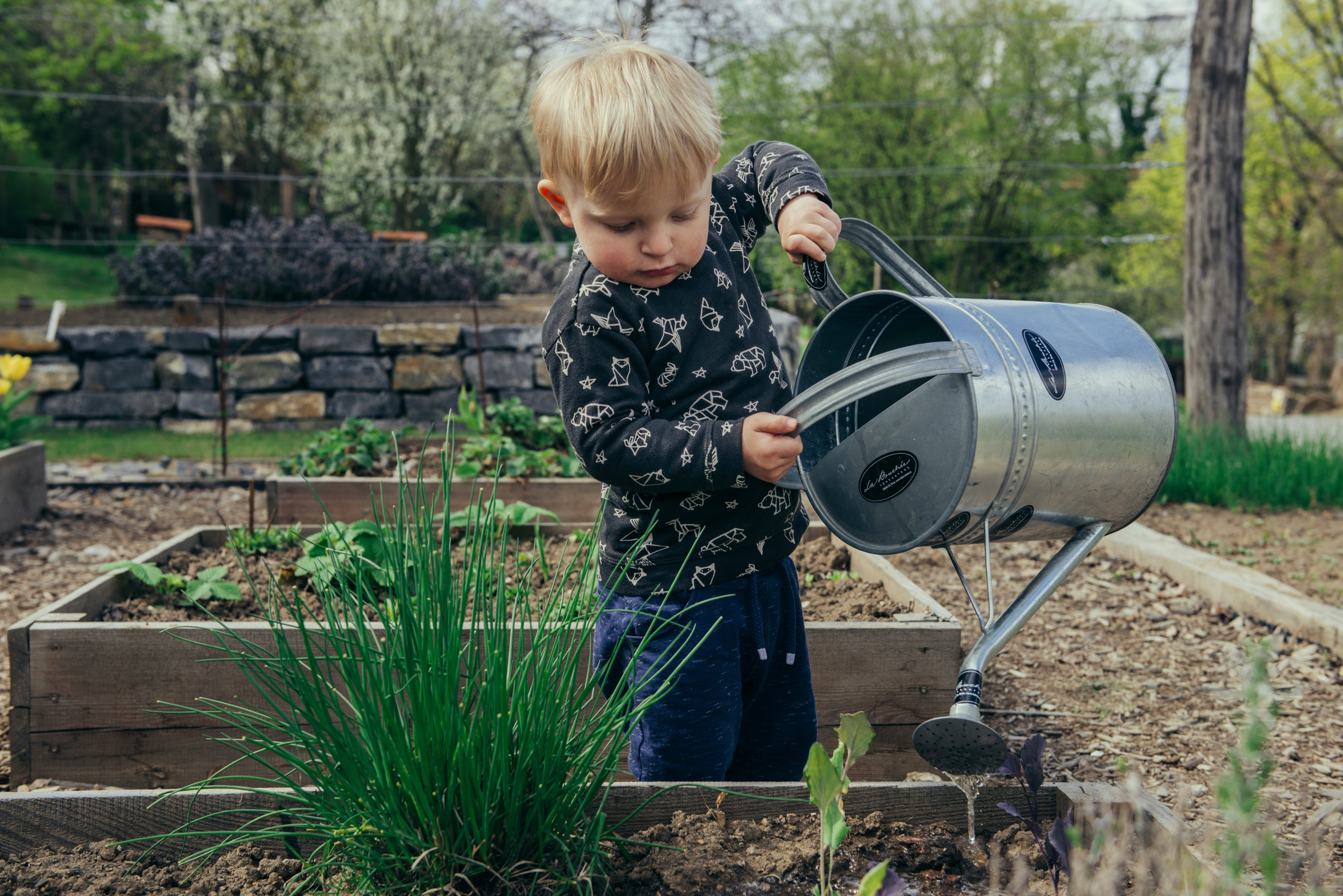 Who Is Responsible for Gardening at a Rental Home?